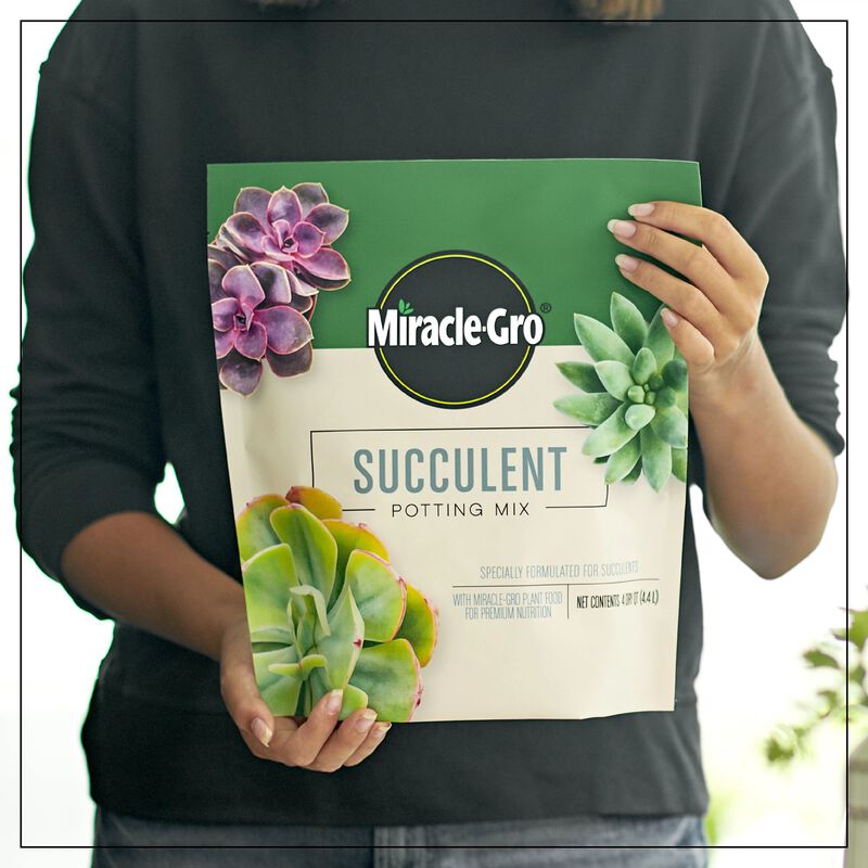 Miracle-Gro® Succulent Potting Mix image number null